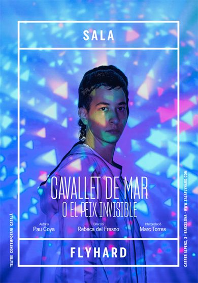 Cavallet de mar o el peix invisible → Sala FlyHard