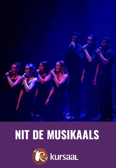 Nit de musikaals → Teatre Kursaal de Manresa