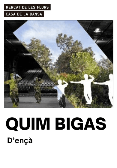 Quim Bigas: D’ençà → Mercat de les Flors