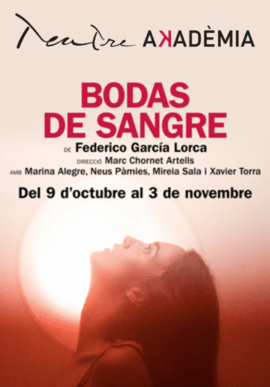 Projecte Ingenu: Bodas de sangre → Teatre Akadèmia