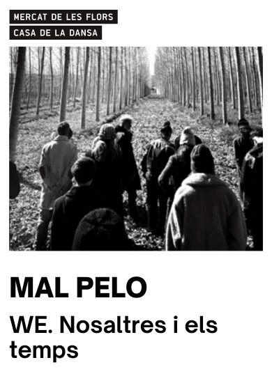 Mal Pelo: WE. Nosaltres i els temps → Mercat de les Flors